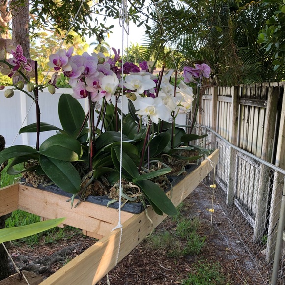 Meet your Posher, Jessica - Picture 1 of 1